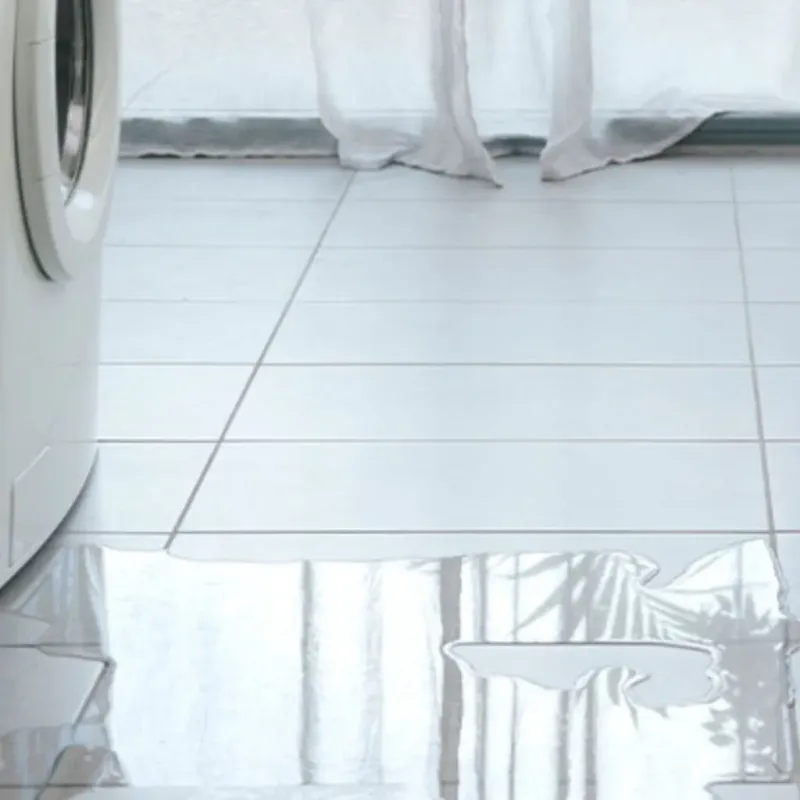 Appliance Leak Cleanup in Carthage, MS