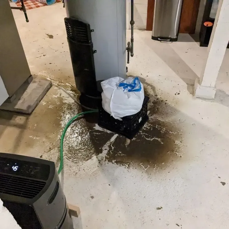 Sewage Backup Cleanup Service in Carthage, MS